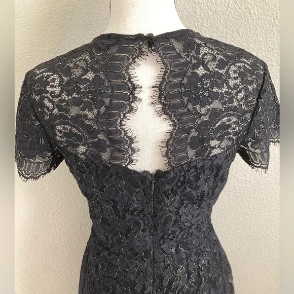 Banana Republic | Lace Cocktail Dress - Picture 6 of 7